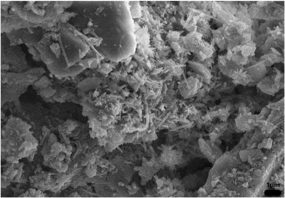 Quick-setting cement-based capillary crystalline self-repairing waterproofing material and preparation method therefor