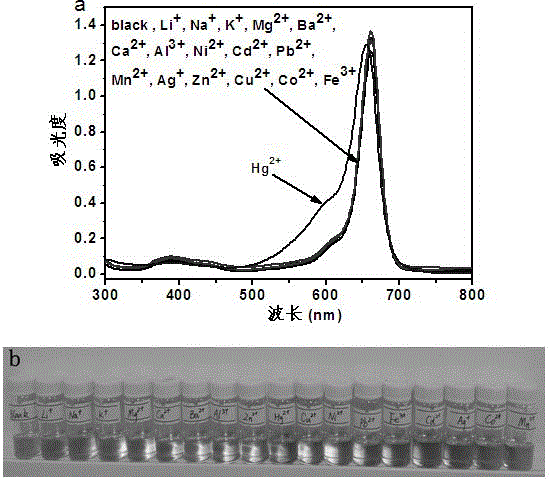 Mono-sulfo squarylium dye fluorescence probe for detecting mercury ions and preparation method thereof