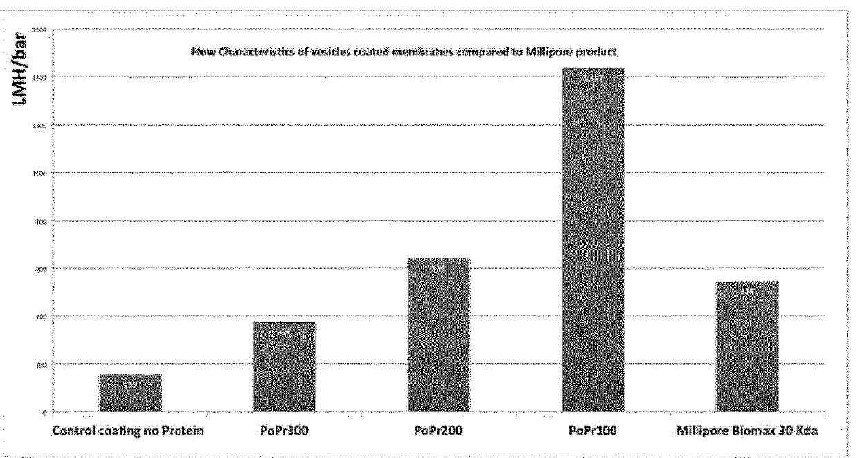 Polymers and process for making membranes