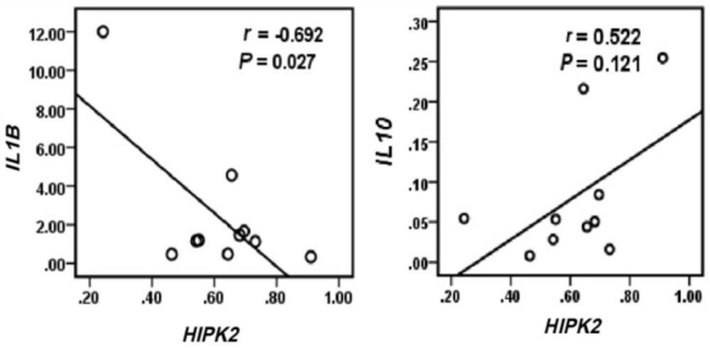 Application of HIPK2 in prediction and diagnosis of septicemia