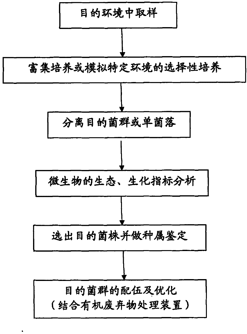 Organic Waste Treatment Plant