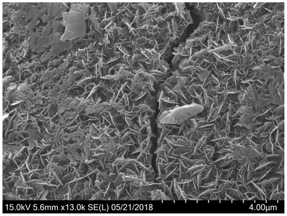 A kind of supported green rust-based multi-metal hydroxide catalyst and preparation method thereof