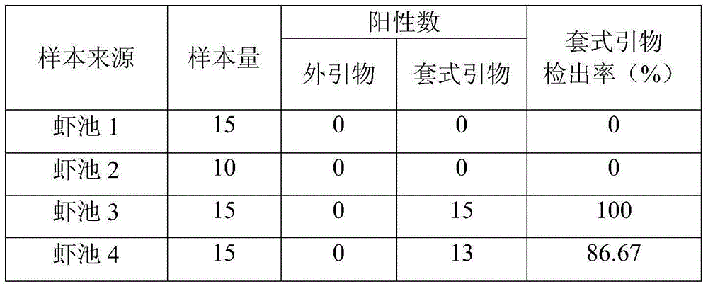 Nested primer used for early warning of enterocytozoon hepatopenaei of Chinese cultured shrimps and application of nested primer