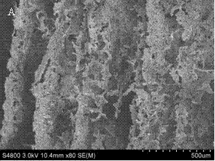Amphoteric-cellulose-based composite material and application thereof