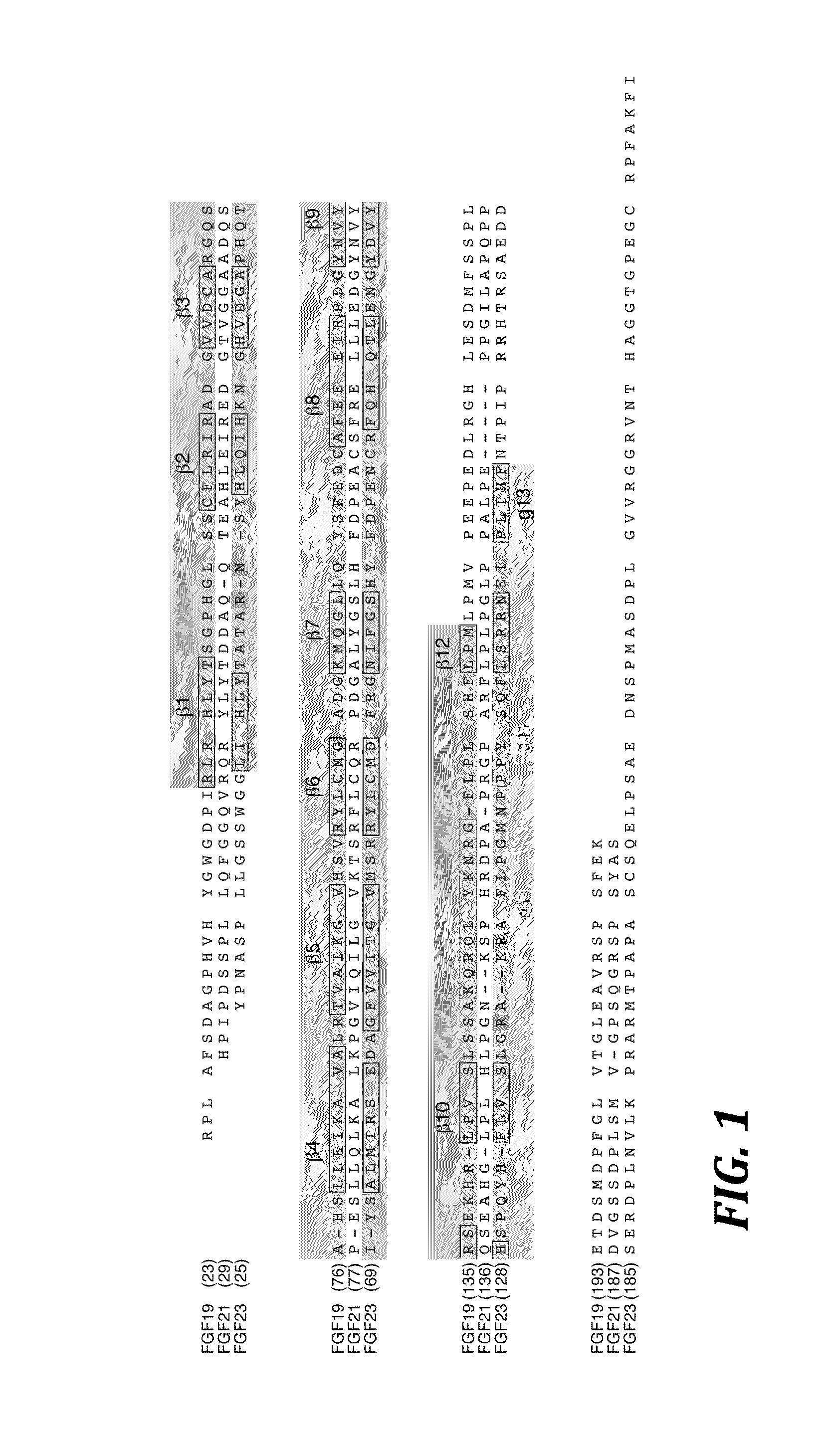 Chimeric fibroblast growth factor 23 proteins and methods of use