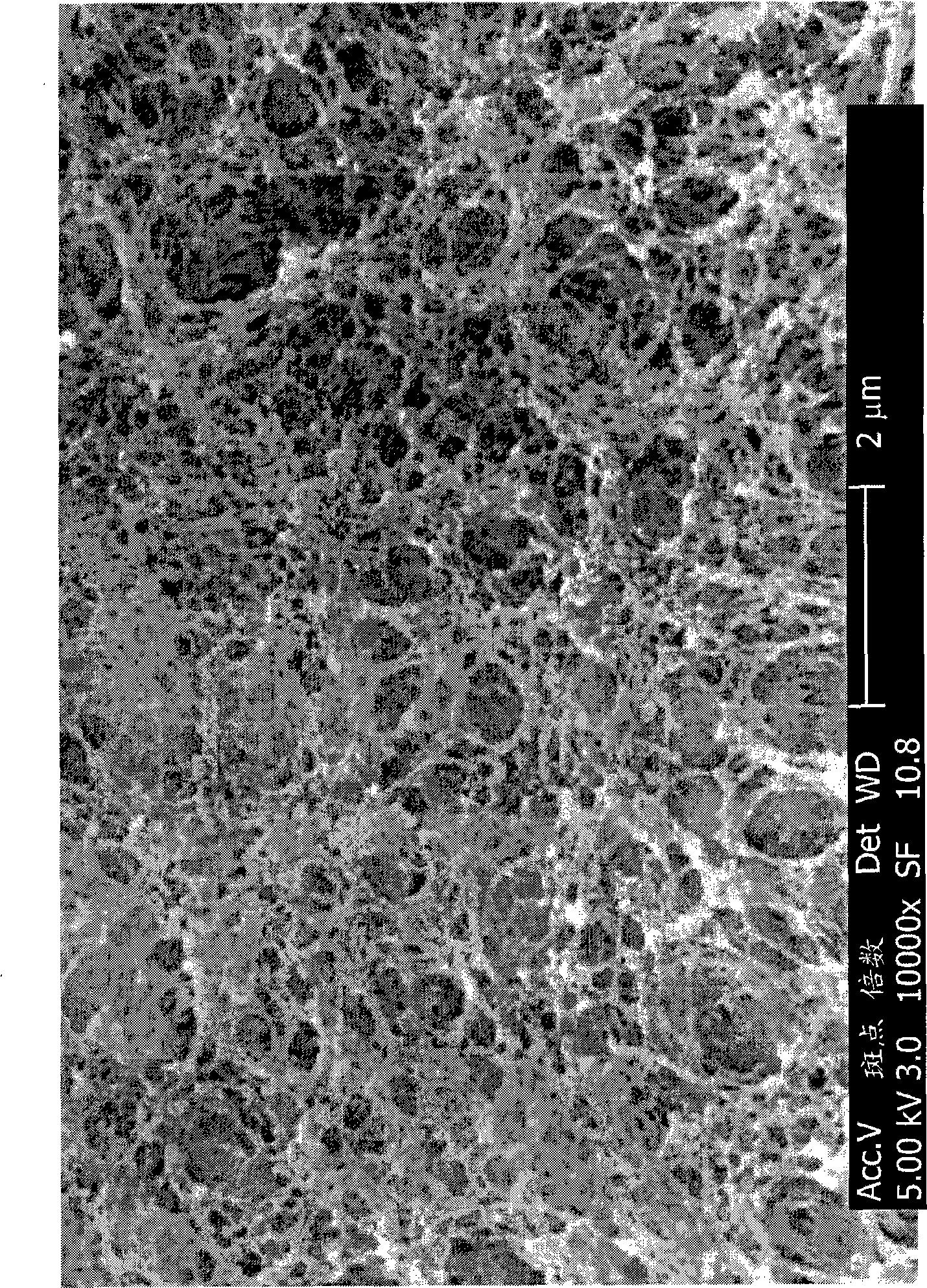 Porous biological assay substrate and method and device for producing such substrate