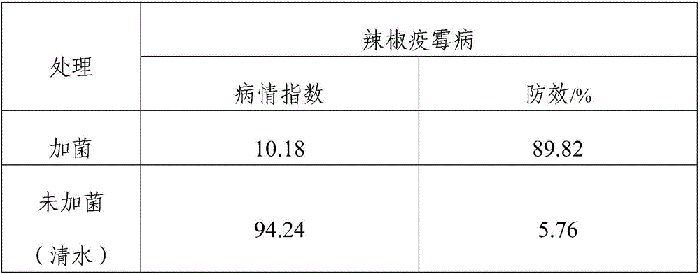 Bacillus bacterium agent for nightshade crops as well as production method and application thereof
