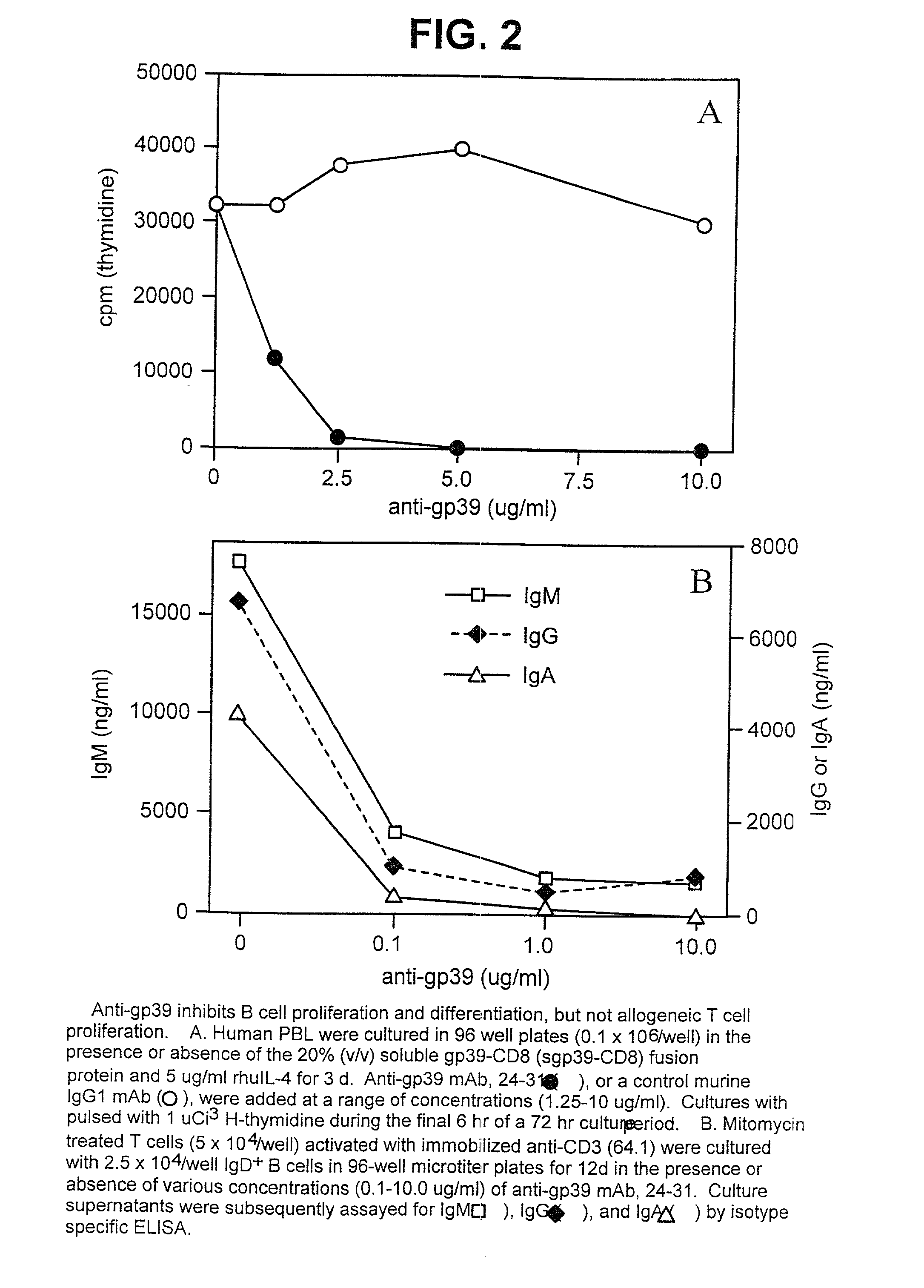 Non-agonistic antibodies to human gp39, compositions containing, and therapeutic use thereof