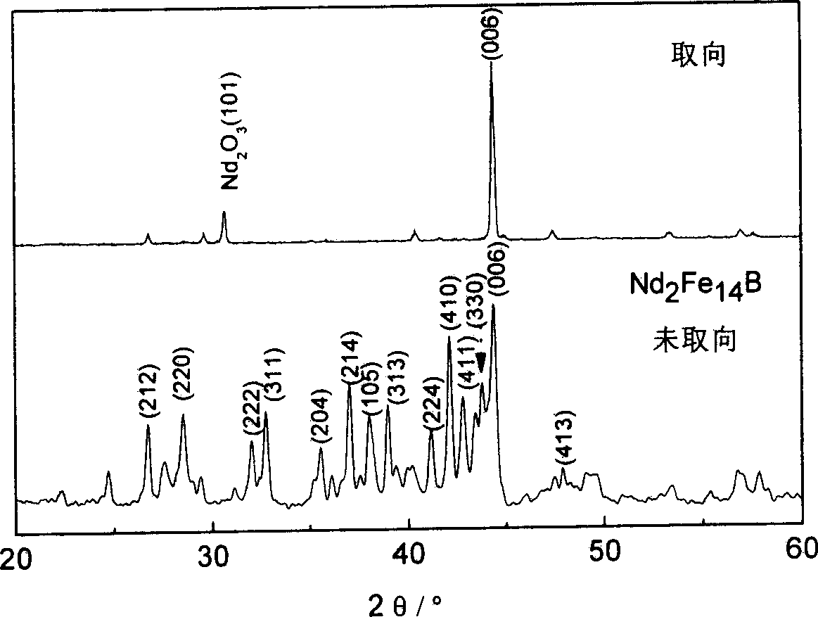 Magnetic field gel injection molding method for large scale rare-earth sintering magnet