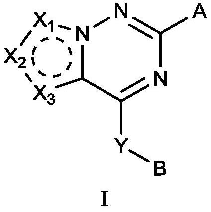 ROCK inhibitor as well as preparation method and application thereof