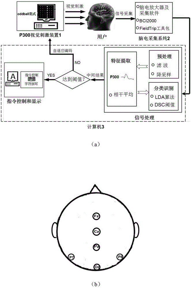 Brain-computer interface speller by utilization of dynamic stop strategy