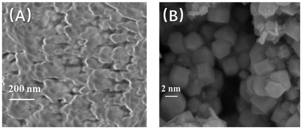 Biological nanometer magnetite, and preparation method and application thereof