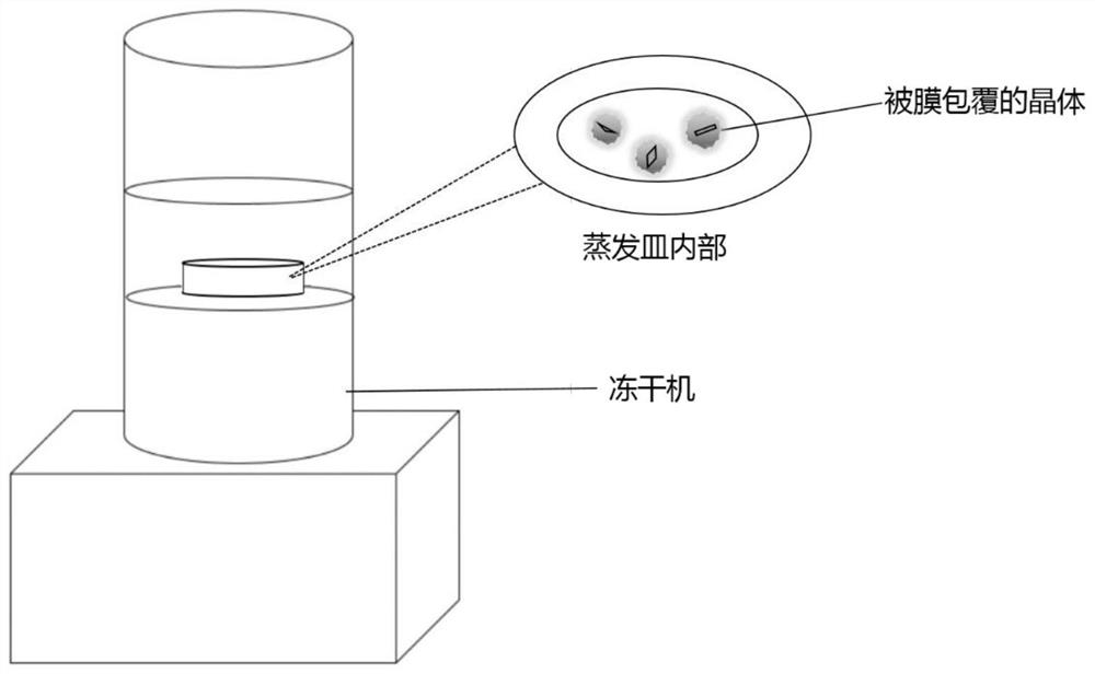 Process for the preparation of membrane-coated crystals by crystallization within microcapsules