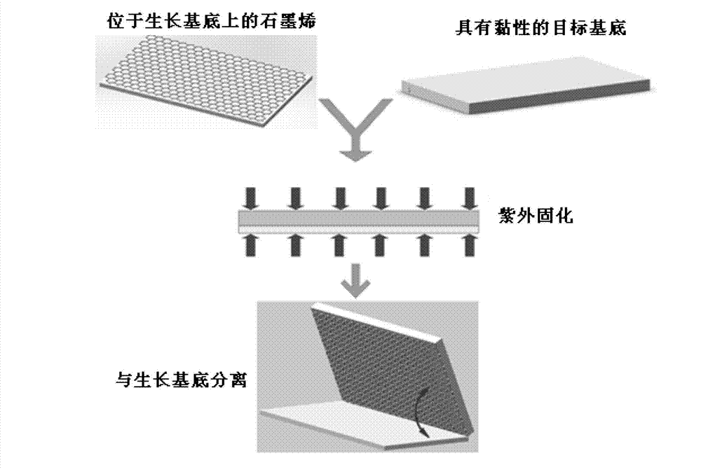Method for rapidly and nondestructively transferring graphene