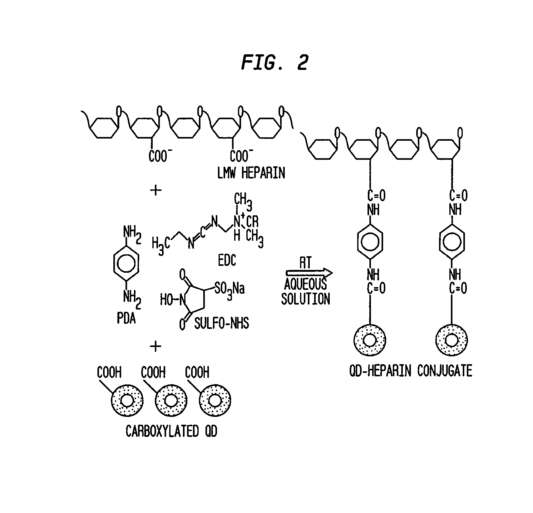 Production of tissue engineered digits and limbs