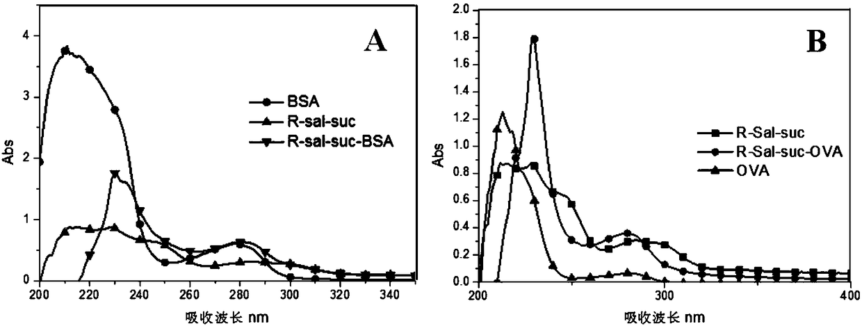 Beta-agonist hapten, artificial antibody as well as preparation methods and applications of beta-agonist hapten and beta-agonist artificial antibody