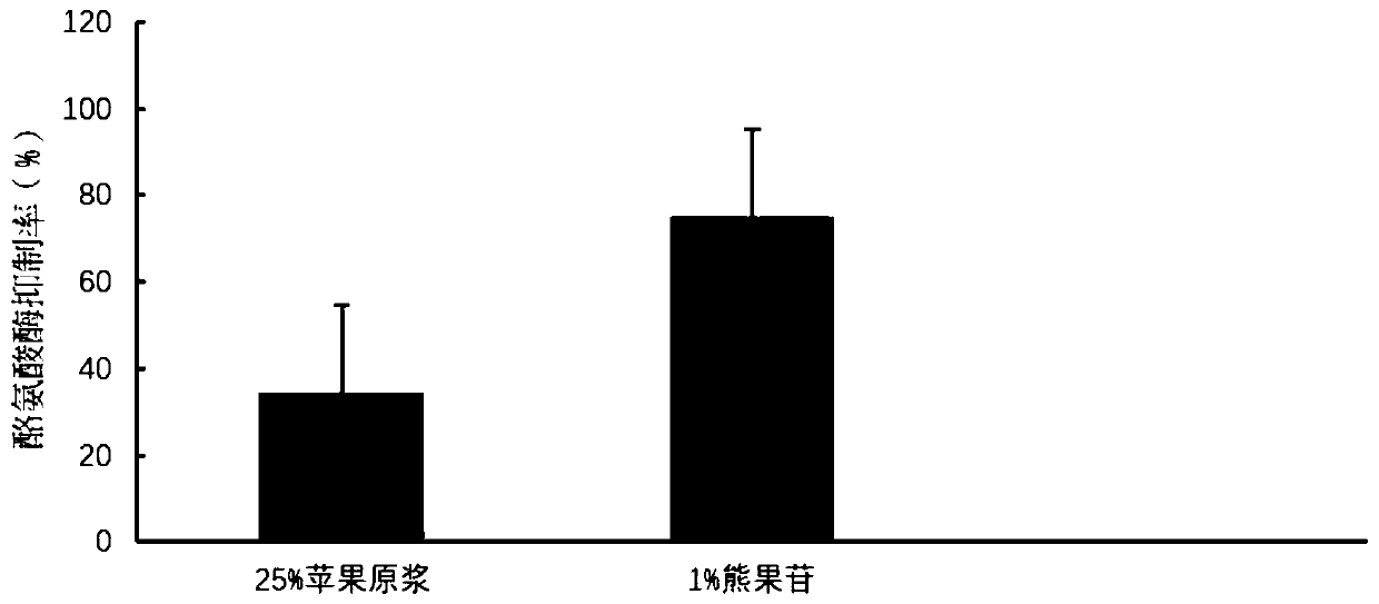 Apple fermentation raw stock as well as preparation method and application thereof