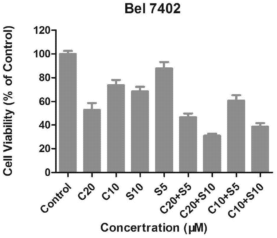 Synergistic compound drug for tumor treatment