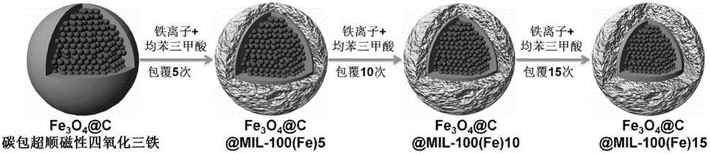 Multifunctional traditional Chinese medicinal anticancer nano-carrier and application thereof