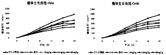 Novel recombinant bee venom polypeptide as well as preparation method and application thereof