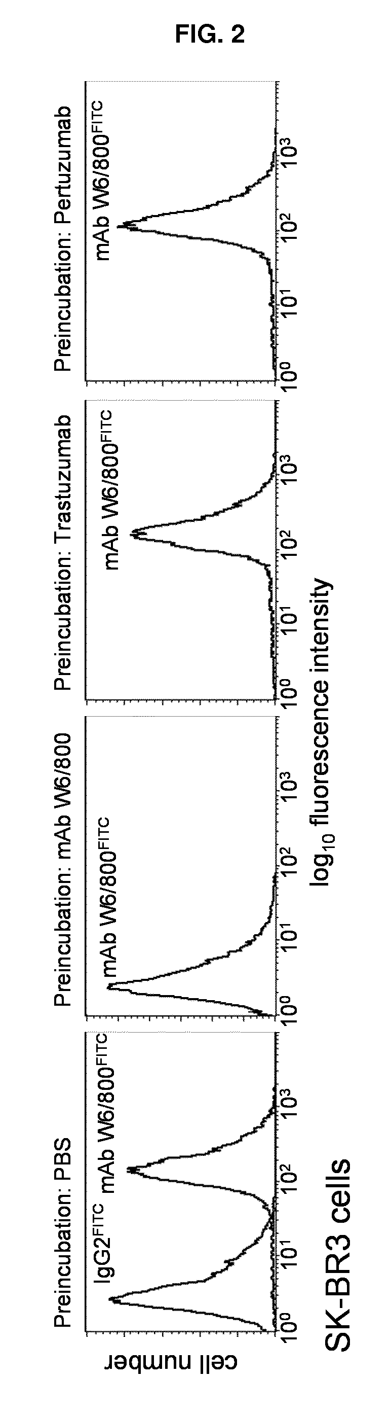 Erbb2-targeting antibody