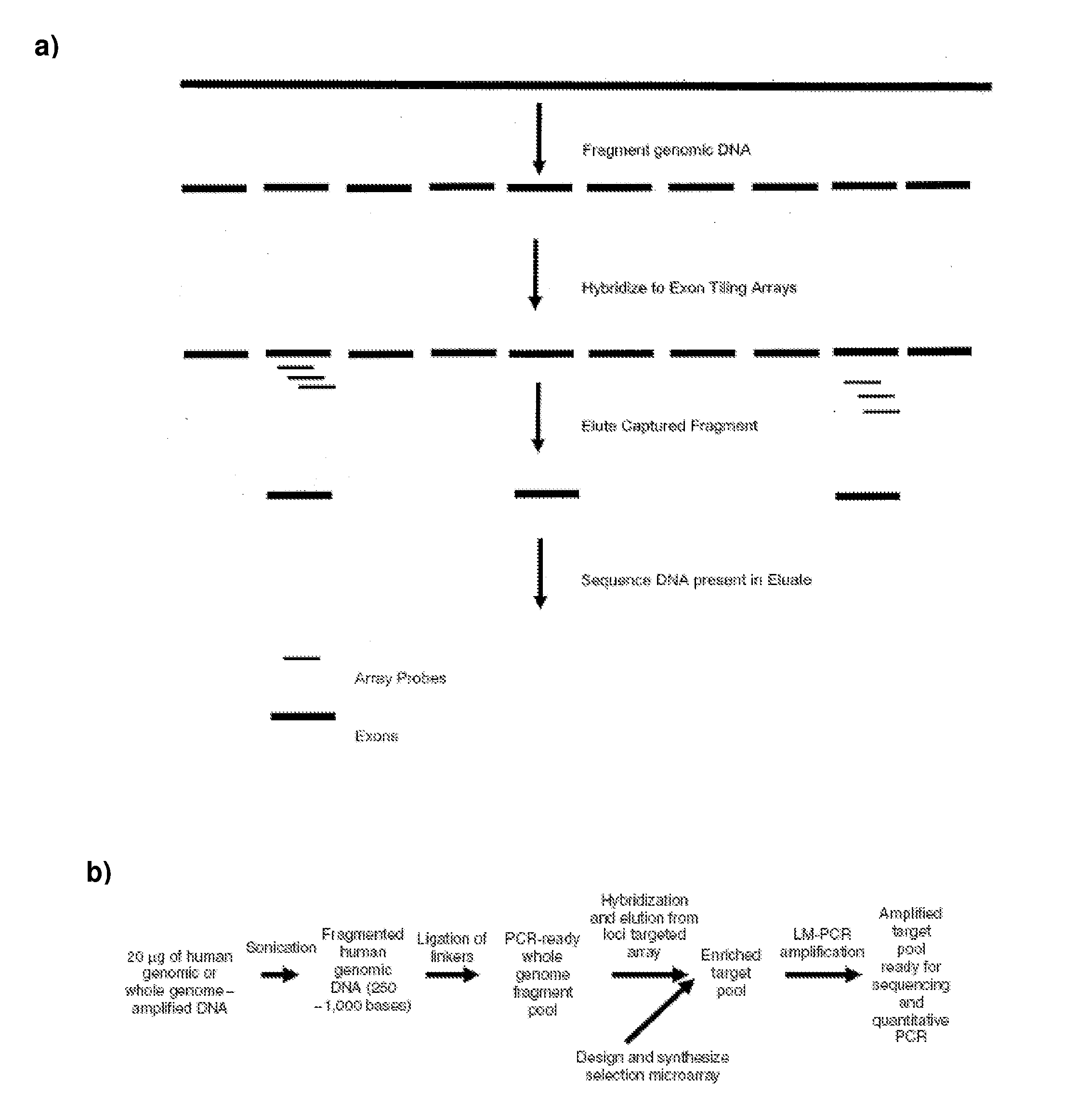 Methods and systems for uniform enrichment of genomic regions