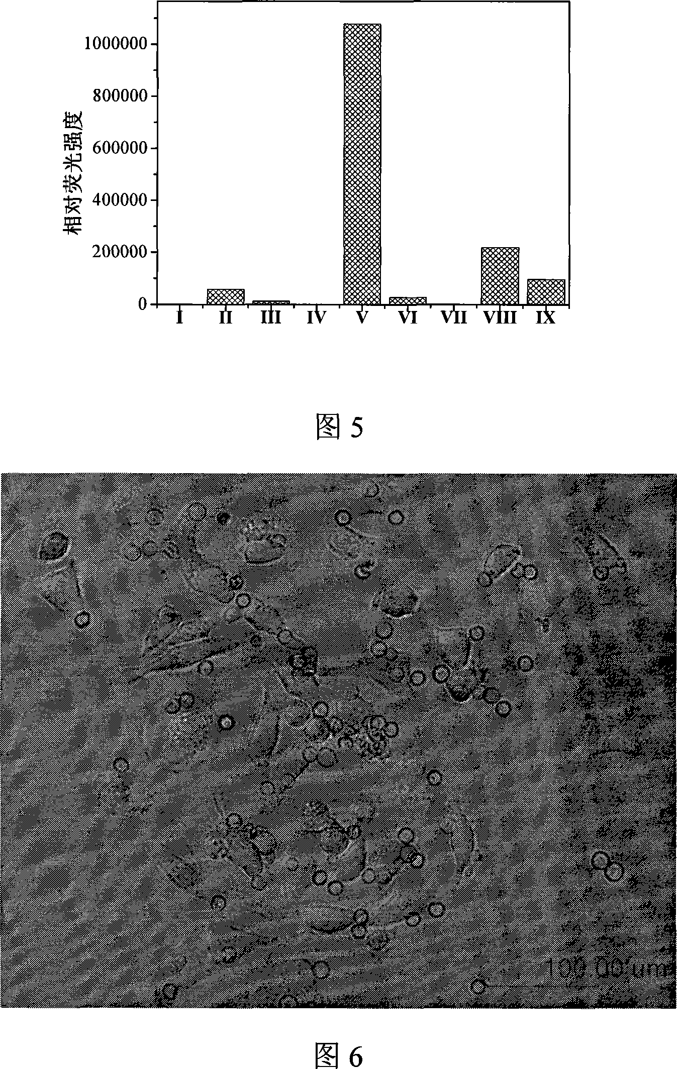 Method for preparing microcapsule having function of specific connecting with tumor cell