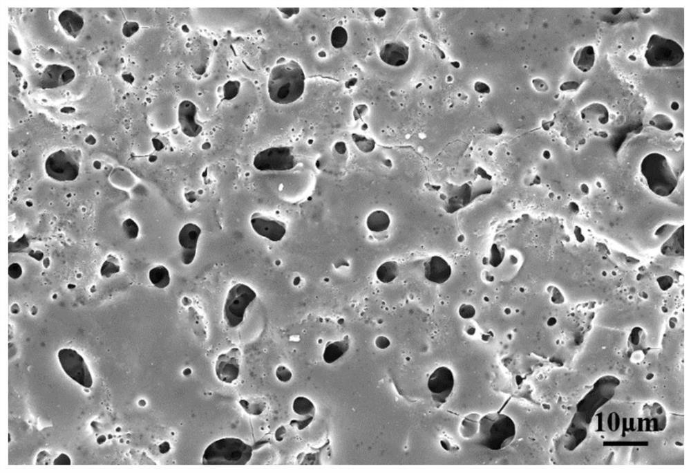 Micro-arc oxidation layer with spherical molybdenum disulfide and preparation method of micro-arc oxidation layer