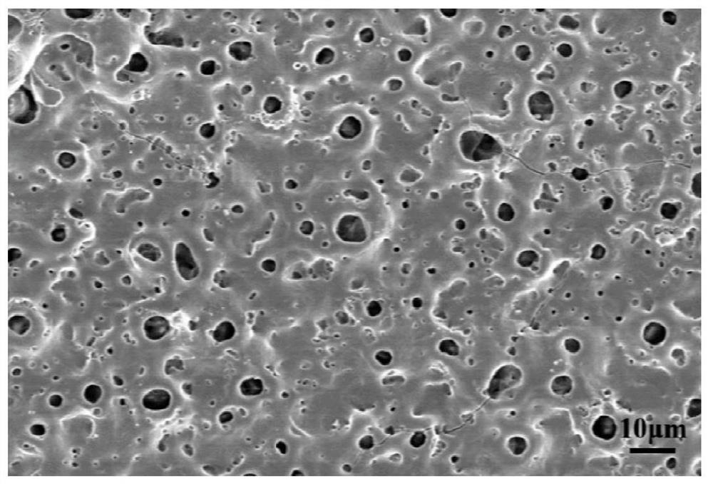 Micro-arc oxidation layer with spherical molybdenum disulfide and preparation method of micro-arc oxidation layer