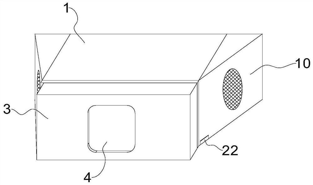 Laser display device based on digital twin