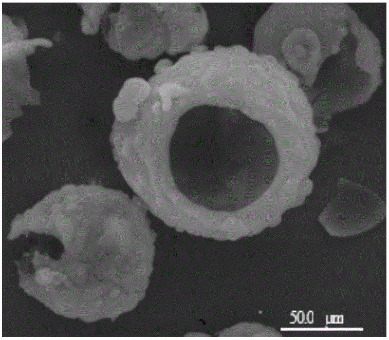 Preparation and application of hollow spherical-segment-shaped mesoporous silica/chloroperoxidase nanoreactor