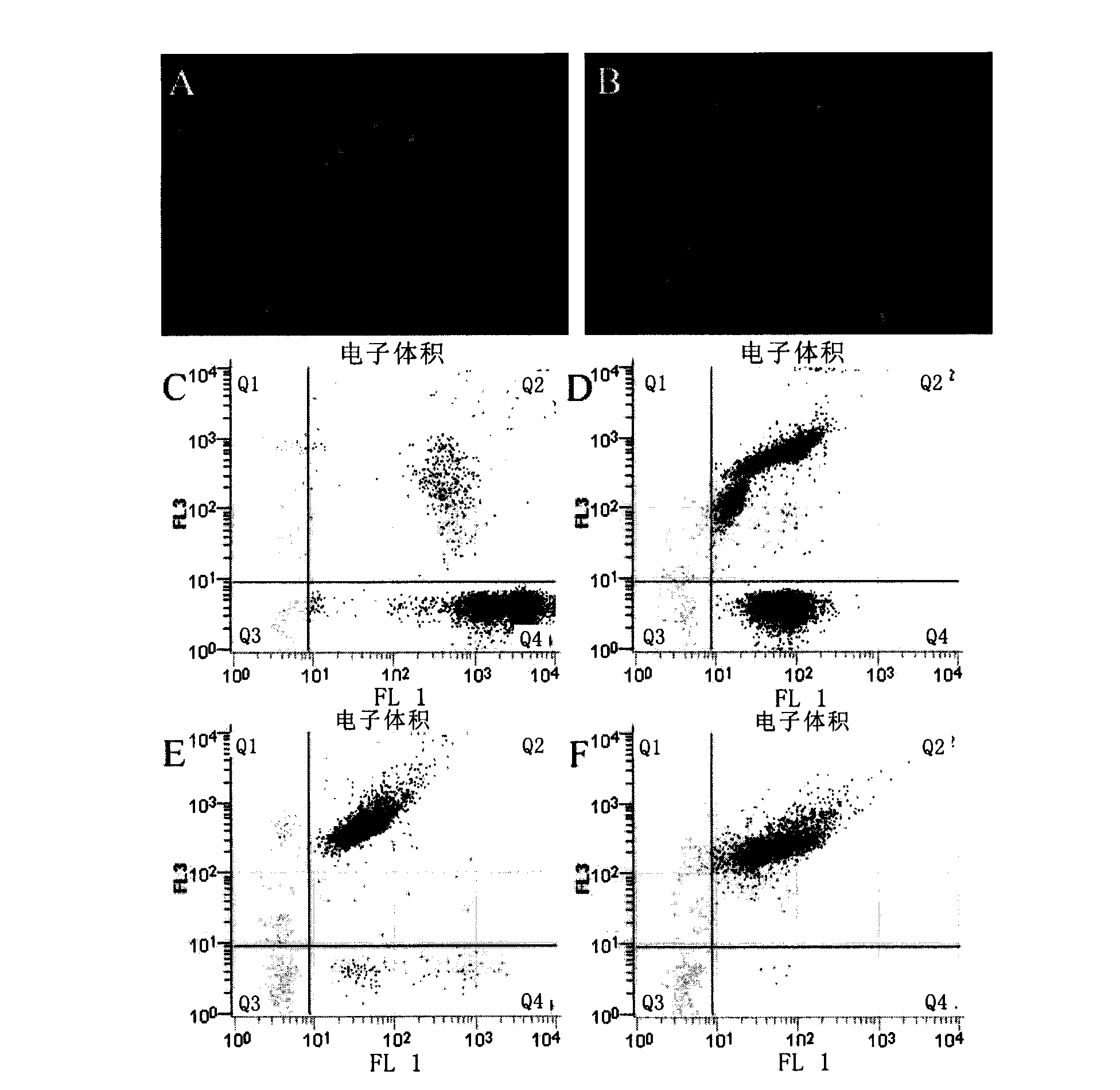 Sperm treating method