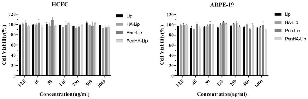 Ophthalmic liposome capable of penetrating cornea and targeting retina as well as preparation method and application of ophthalmic liposome