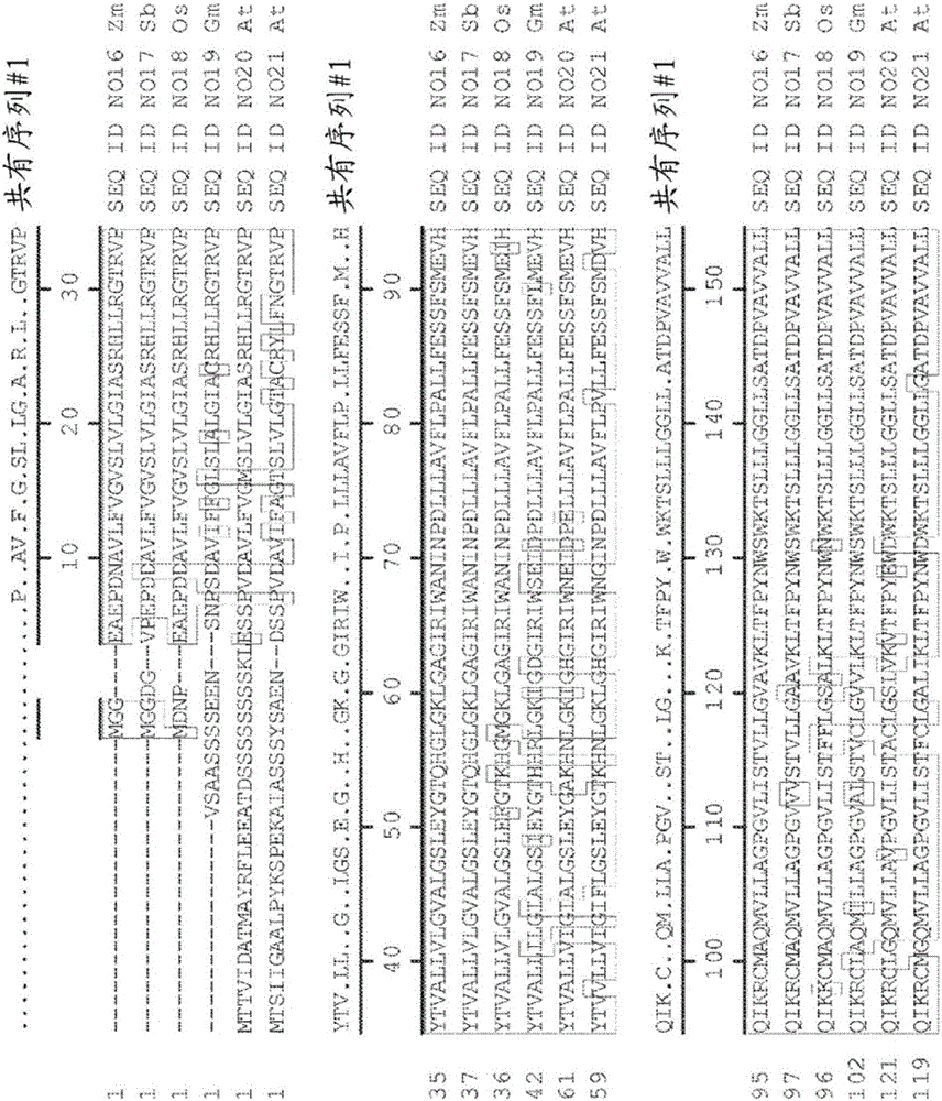 Genetic loci associated with response to abiotic stress