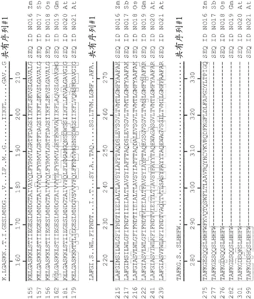 Genetic loci associated with response to abiotic stress