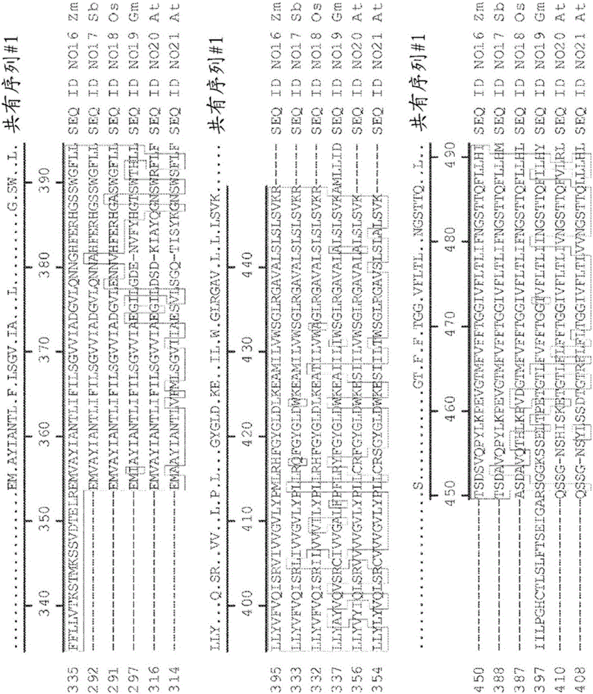 Genetic loci associated with response to abiotic stress