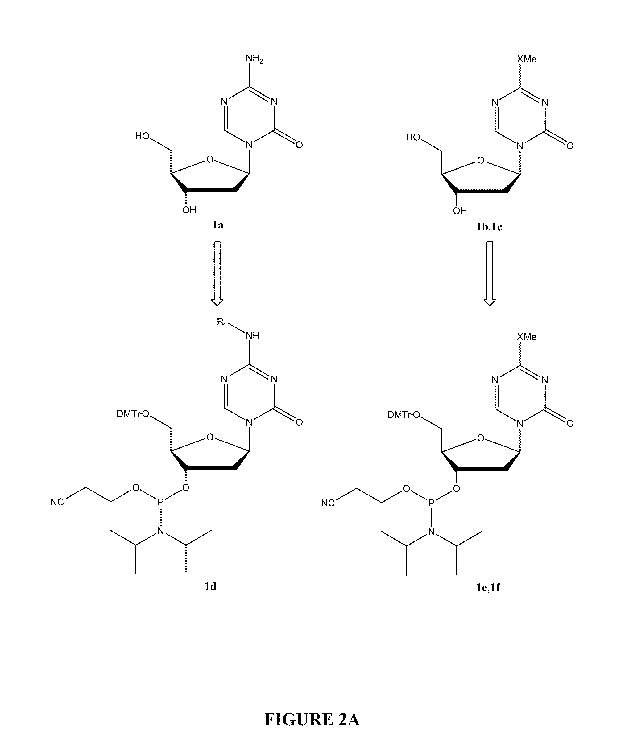 Oligonucleotide analogues incorporating 5-aza-cytosine therein