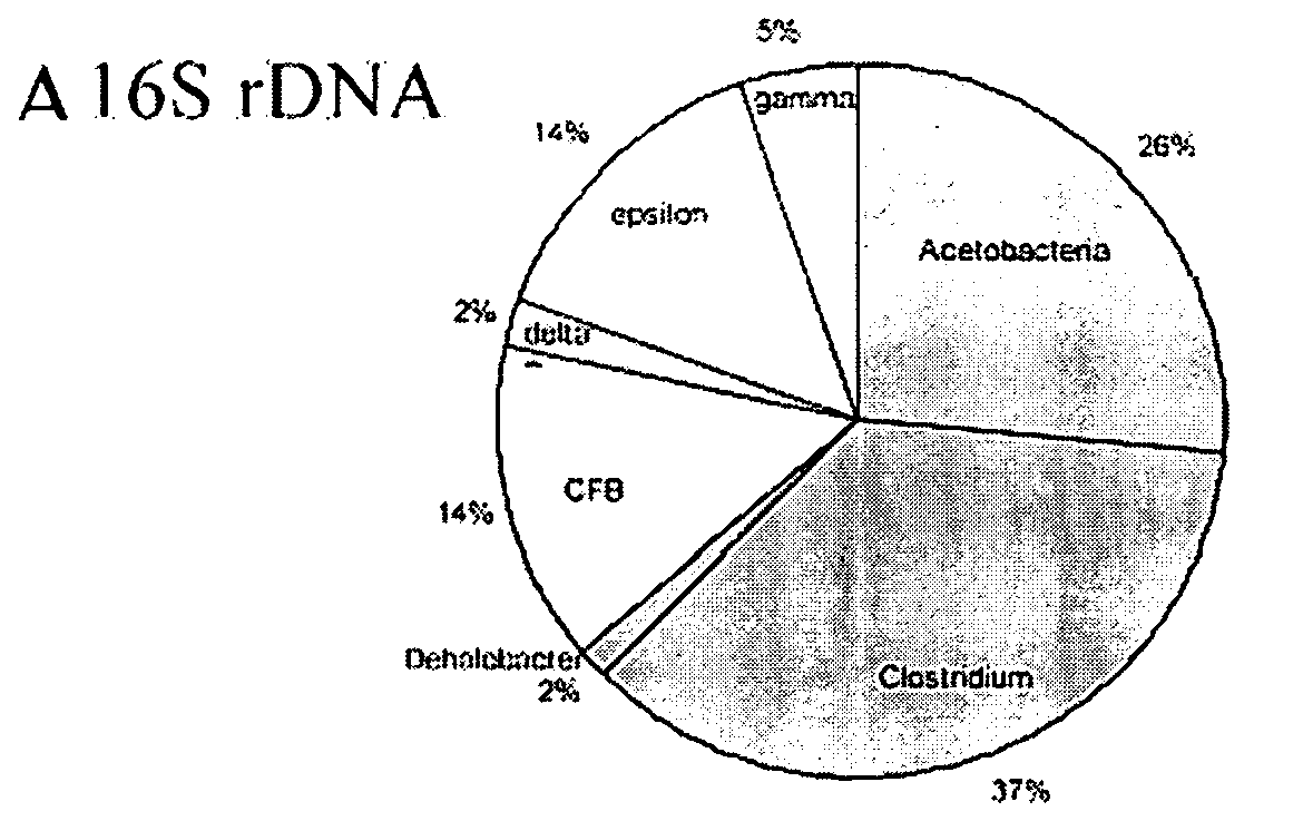 Anaerobic Microbial Composition and Methods of Using Same