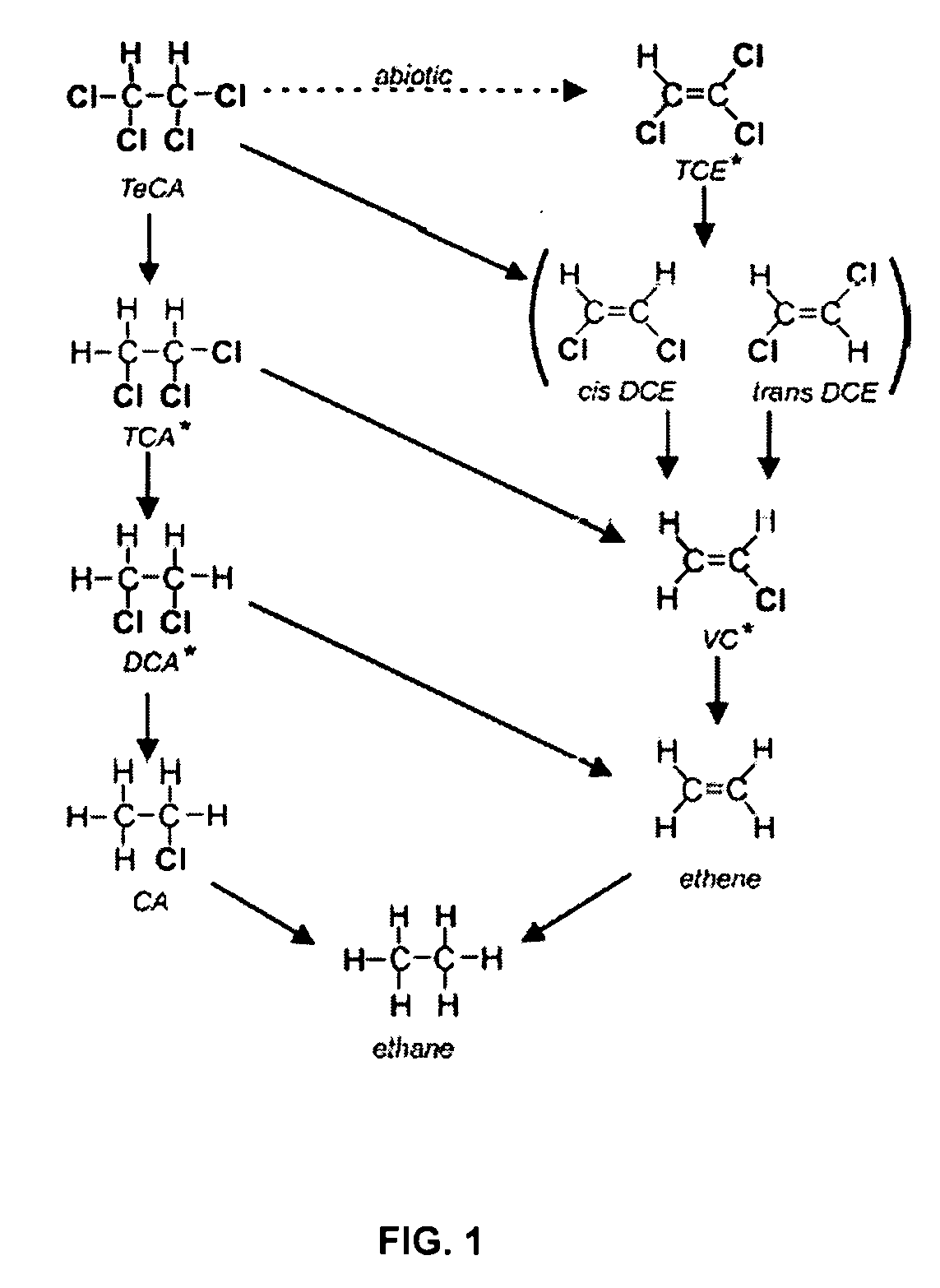 Anaerobic Microbial Composition and Methods of Using Same