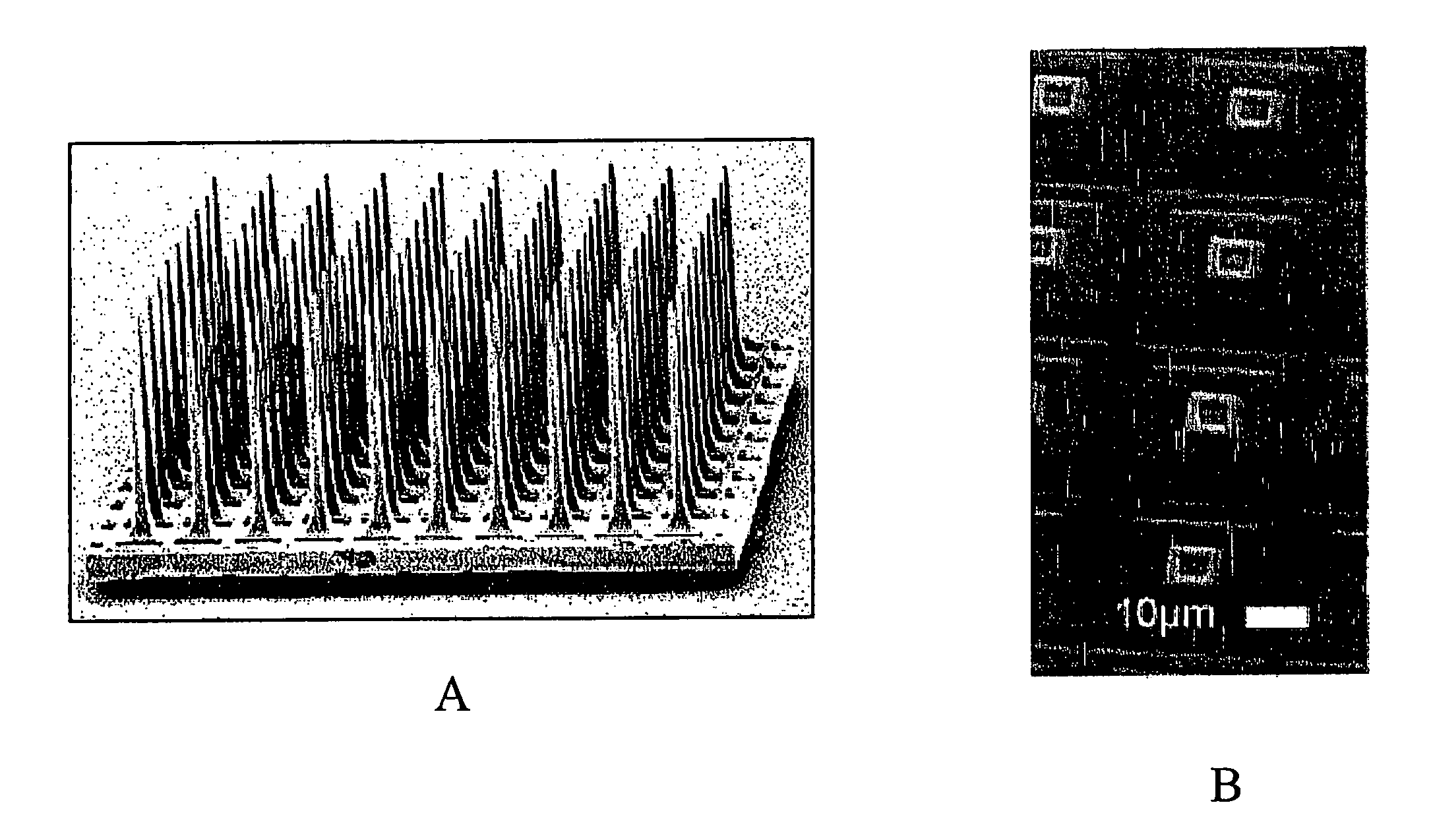 Visual prosthesis and methods of creating visual perceptions