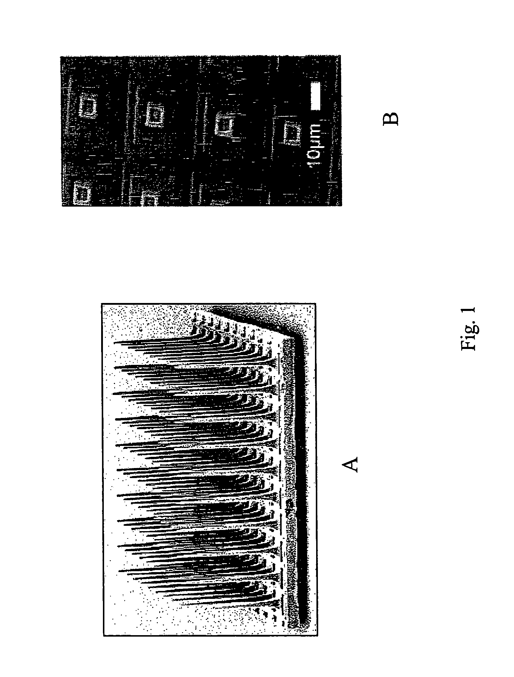 Visual prosthesis and methods of creating visual perceptions