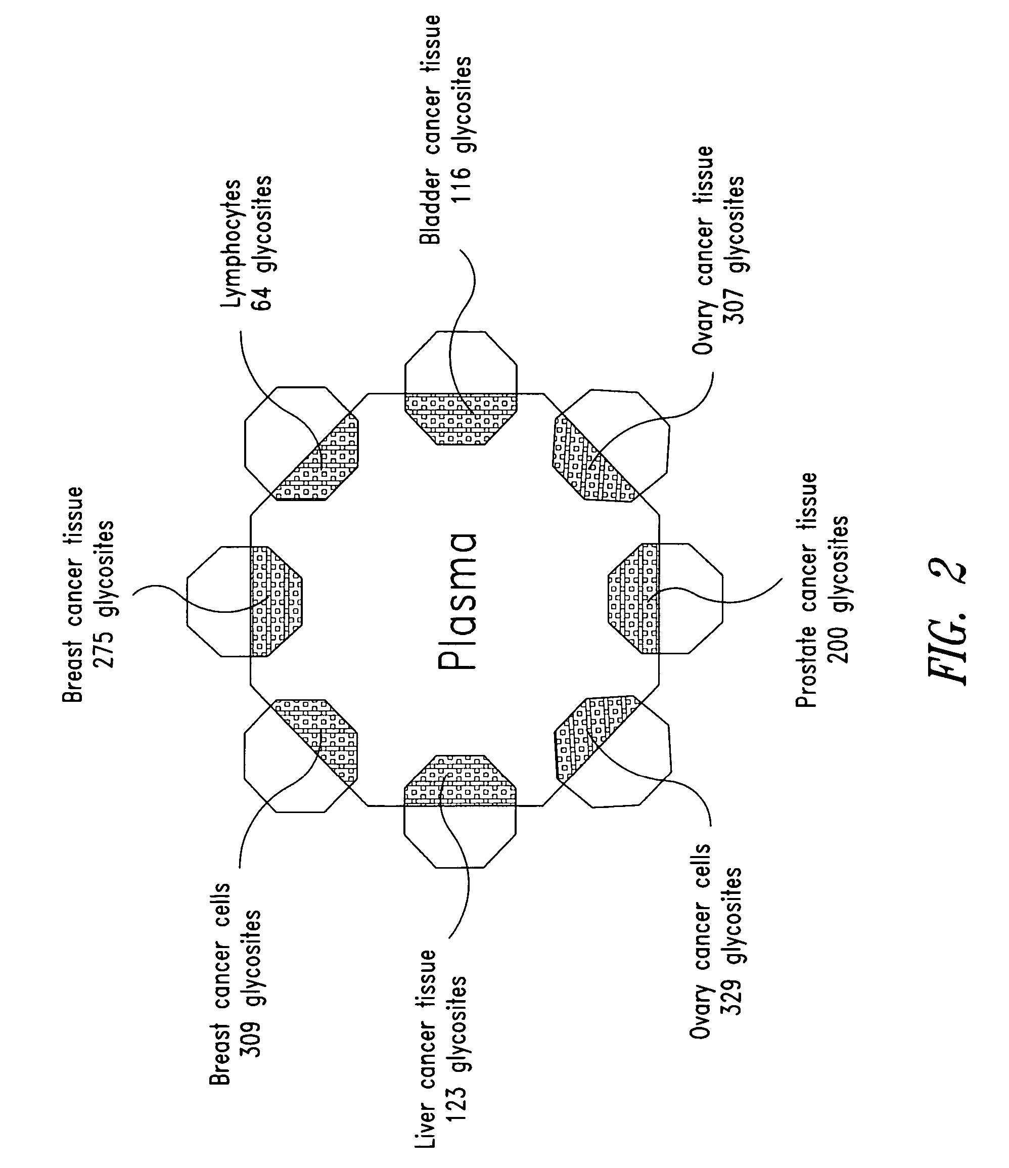 Tissue-and serum-derived glycoproteins and methods of their use
