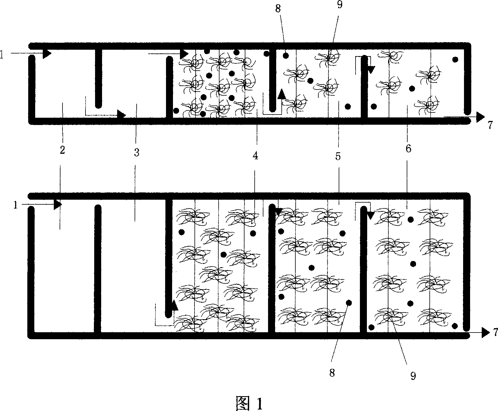 Organism activated adsorption aeration sewage treating and water reusing method