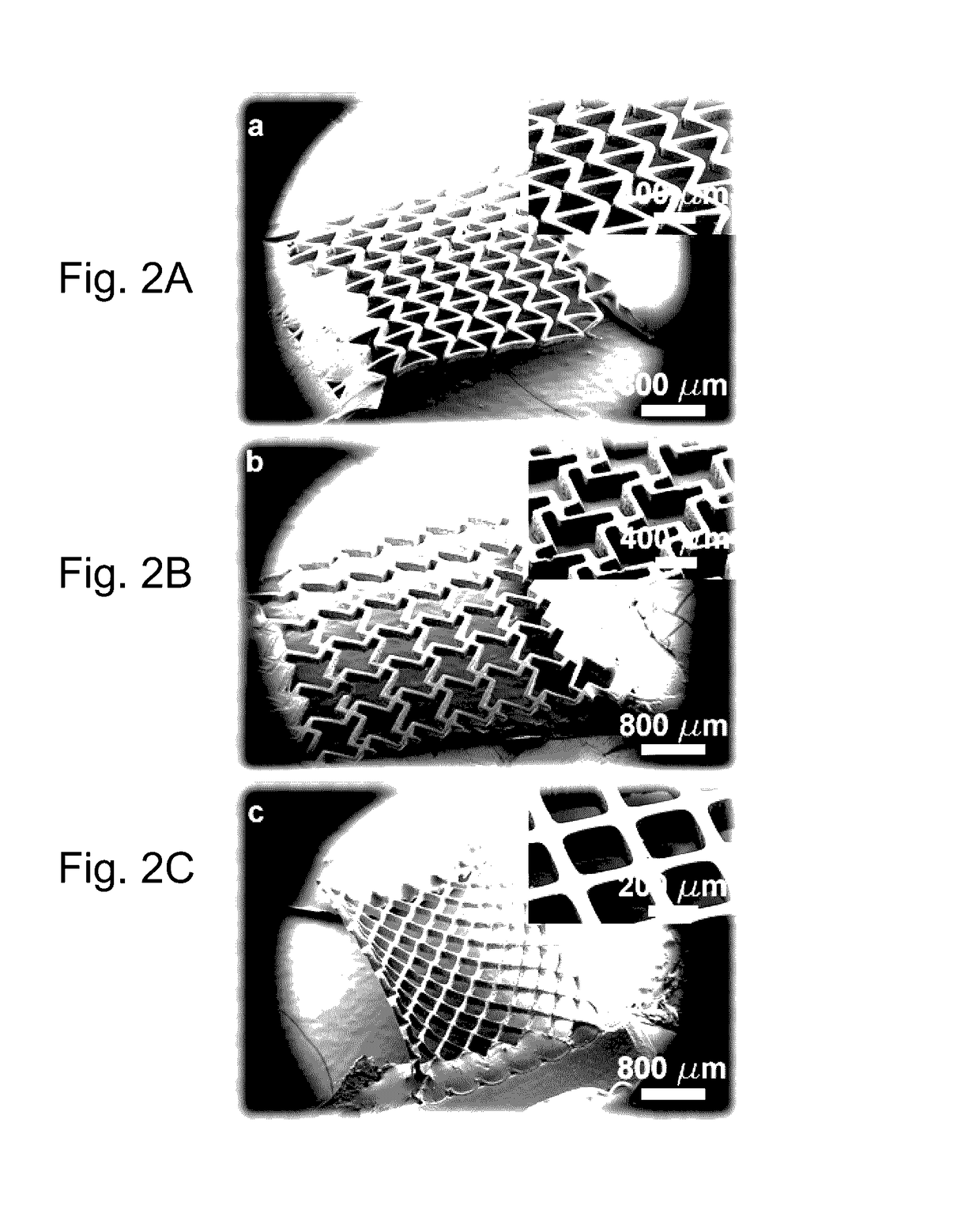 Microstructure biomaterials and fabrication methods therefor