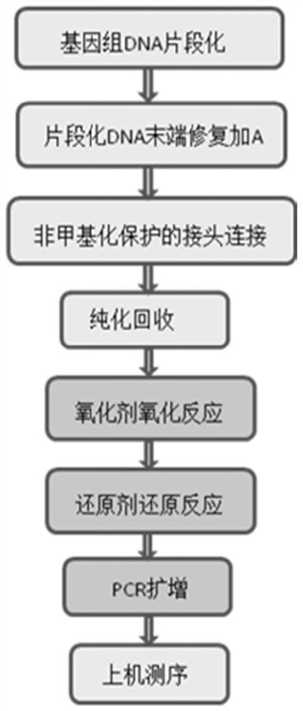 Whole genome hydroxymethylation conversion reagent and application thereof