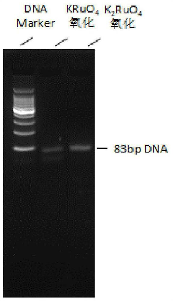 Whole genome hydroxymethylation conversion reagent and application thereof