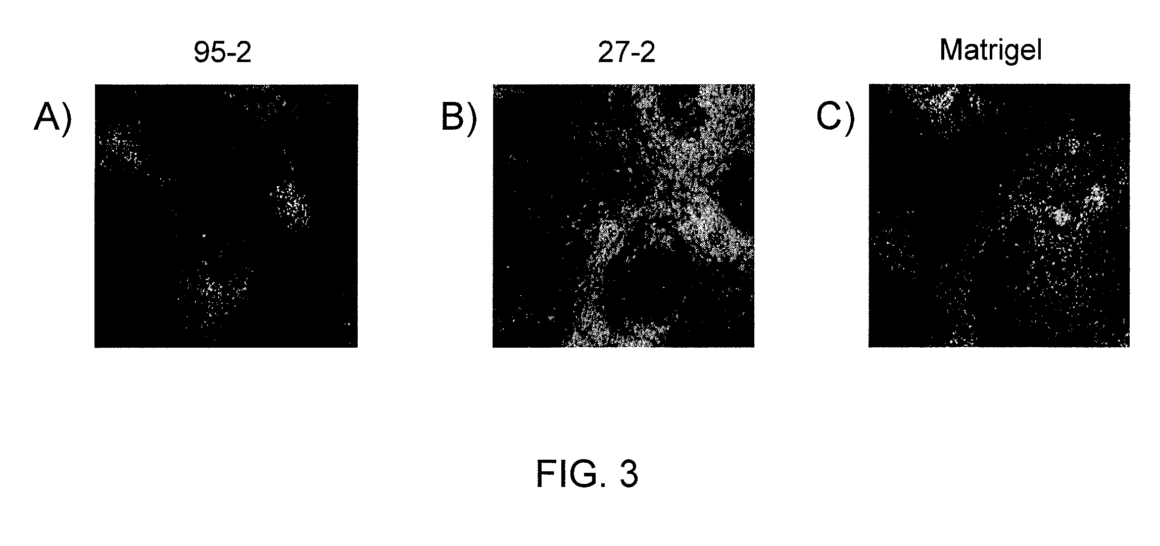 Synthetic surfaces for culturing stem cell derived cardiomyocytes