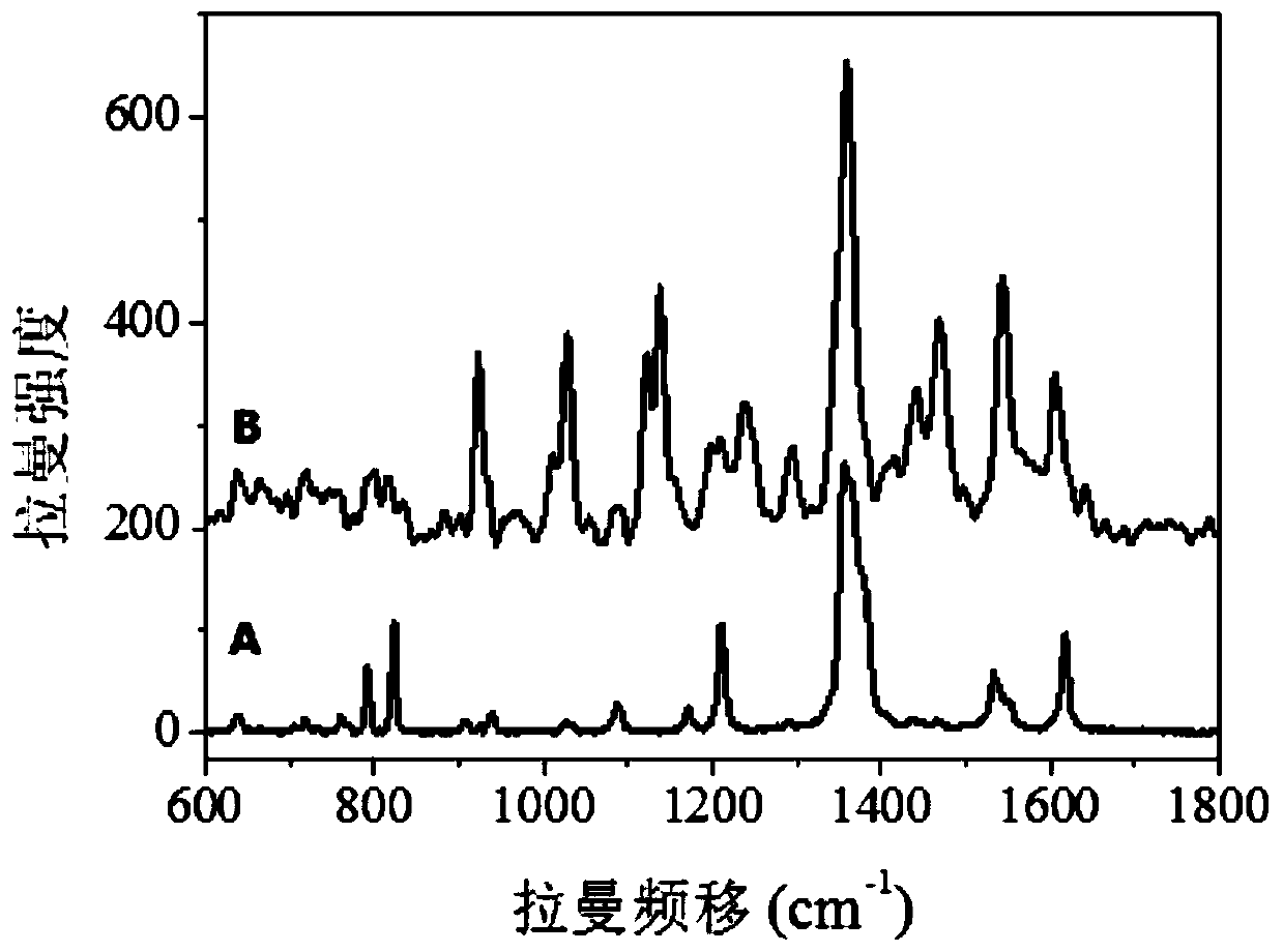 Application of Gold Nanoparticles Modified Carbon Nanotubes