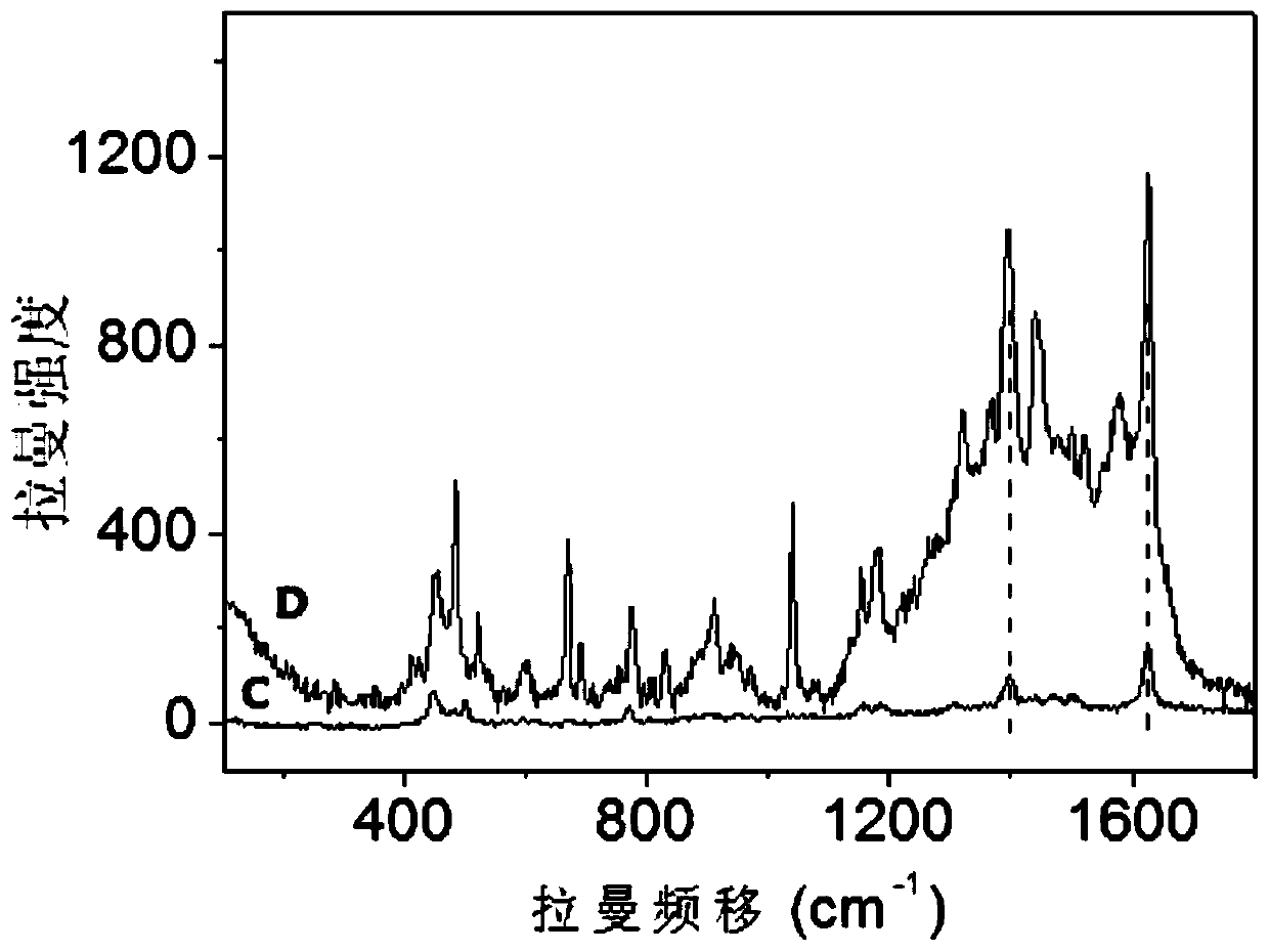 Application of Gold Nanoparticles Modified Carbon Nanotubes