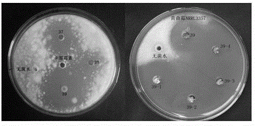 Method for artificial synthesis of antimicrobial peptides